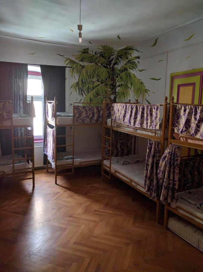 Bella Vita Hostel Timisoara Luaran gambar